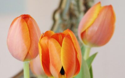 La angustia ante la falta: ¿por qué nos hace sufrir tanto la decepción en las relaciones?